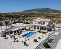 Nueva construcción  - Villa - Pinoso