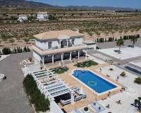 Nueva construcción  - Villa - Pinoso