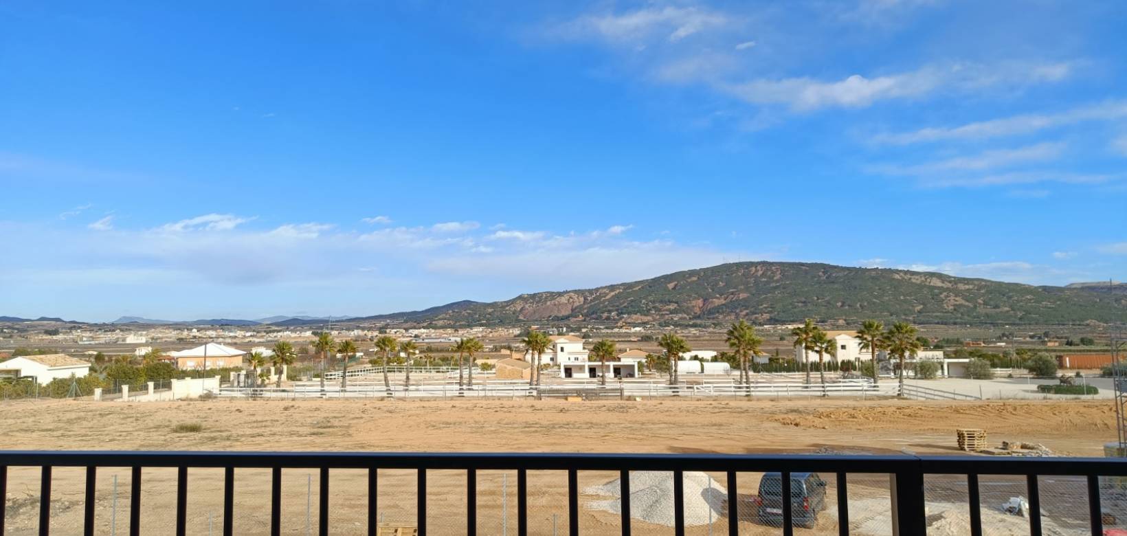 Nueva construcción  - Villa - Pinoso