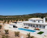 Nueva construcción  - Villa - Pinoso