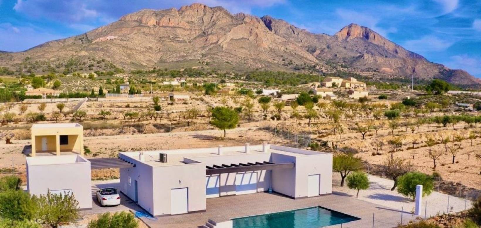 Nueva construcción  - Villa - Pinoso