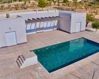 Nueva construcción  - Villa - Pinoso
