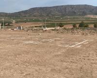Nueva construcción  - Villa - Pinoso