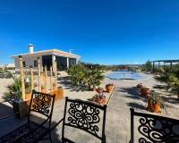 Nueva construcción  - Villa - Pinoso