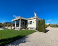 Nueva construcción  - Villa - Pinoso