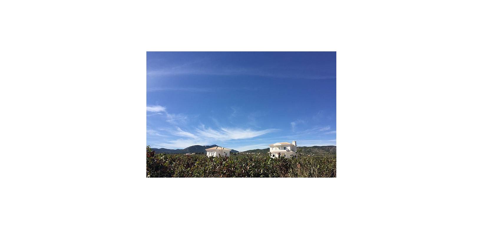 Nueva construcción  - Villa - Pinoso