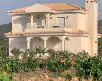 Nueva construcción  - Villa - Pinoso