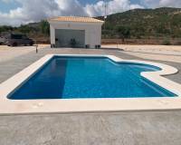 Nueva construcción  - Villa - Pinoso
