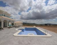 Nueva construcción  - Villa - Pinoso