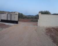 Nueva construcción  - Villa - Pinoso