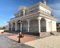 Nueva construcción  - Villa - Pinoso