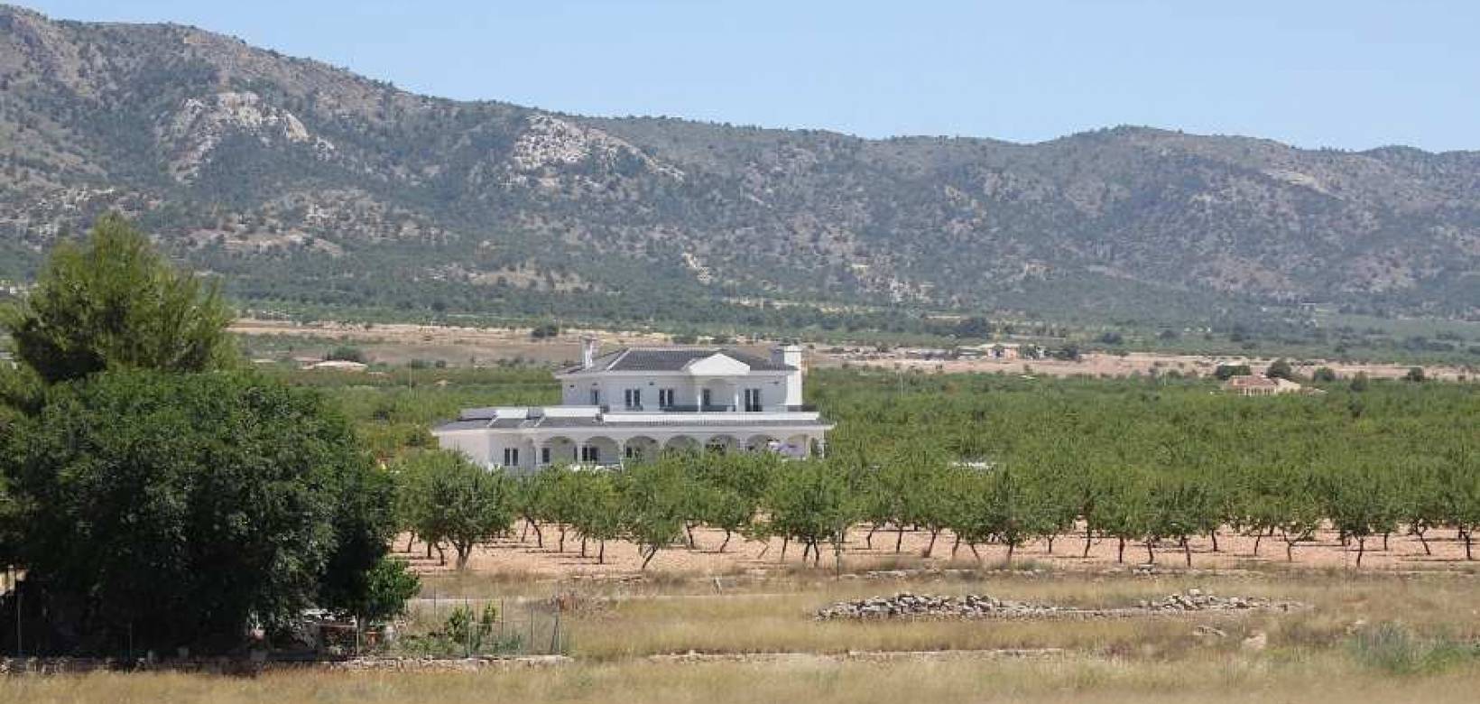 Nueva construcción  - Villa - Pinoso