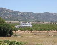 Nueva construcción  - Villa - Pinoso