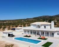 Nueva construcción  - Villa - Pinoso