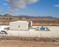 Nueva construcción  - Villa - Pinoso