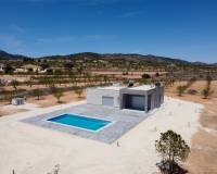 Nueva construcción  - Villa - Pinoso