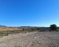 Nueva construcción  - Villa - Pinoso