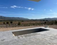 Nueva construcción  - Villa - Pinoso