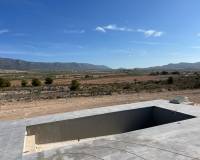 Nueva construcción  - Villa - Pinoso