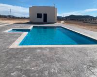 Nueva construcción  - Villa - Pinoso