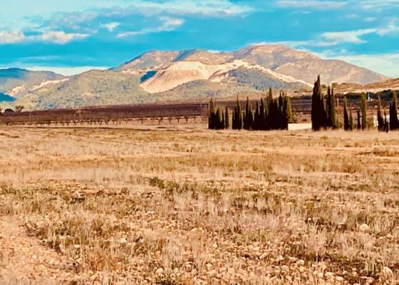 Parcelle - Revente - Cañada del Trigo - Cañada del Trigo