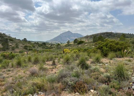 Perceel - Wederverkoop - Hondón de las Nieves - Hondón de las Nieves