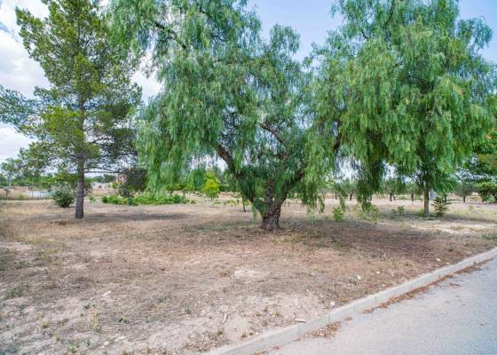 Plot_building - Wederverkoop - Ubeda - Ubeda