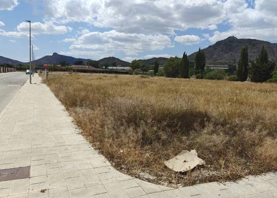 Plot / Land - Nueva construcción  - Aspe - AM-ASPEJU