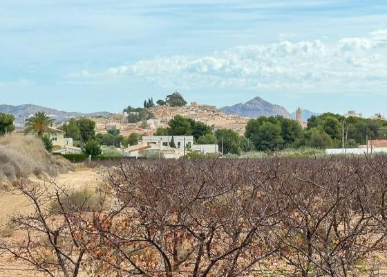 Plot / Land - Resale - Monovar - Monovar