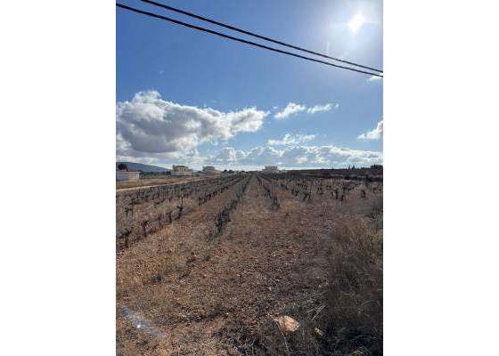 Plot / Land - Venta - Pinoso - el Pinós / Pinoso