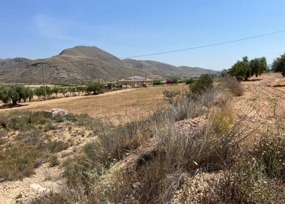 Plot - Resale - Barbarroja - AM-PARCMJ