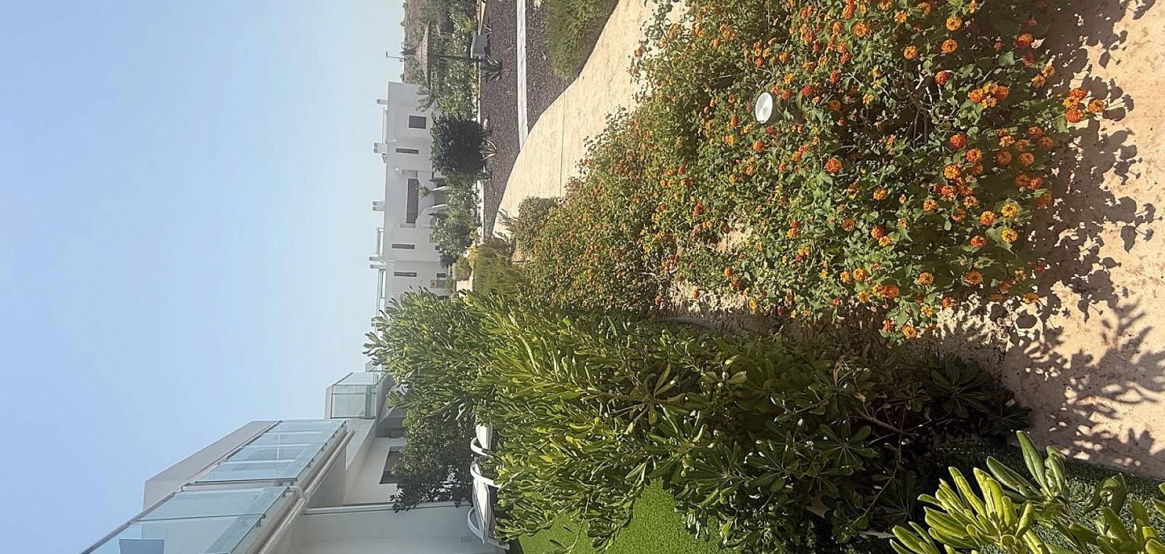 Resale - Apartment - Los Montesinos