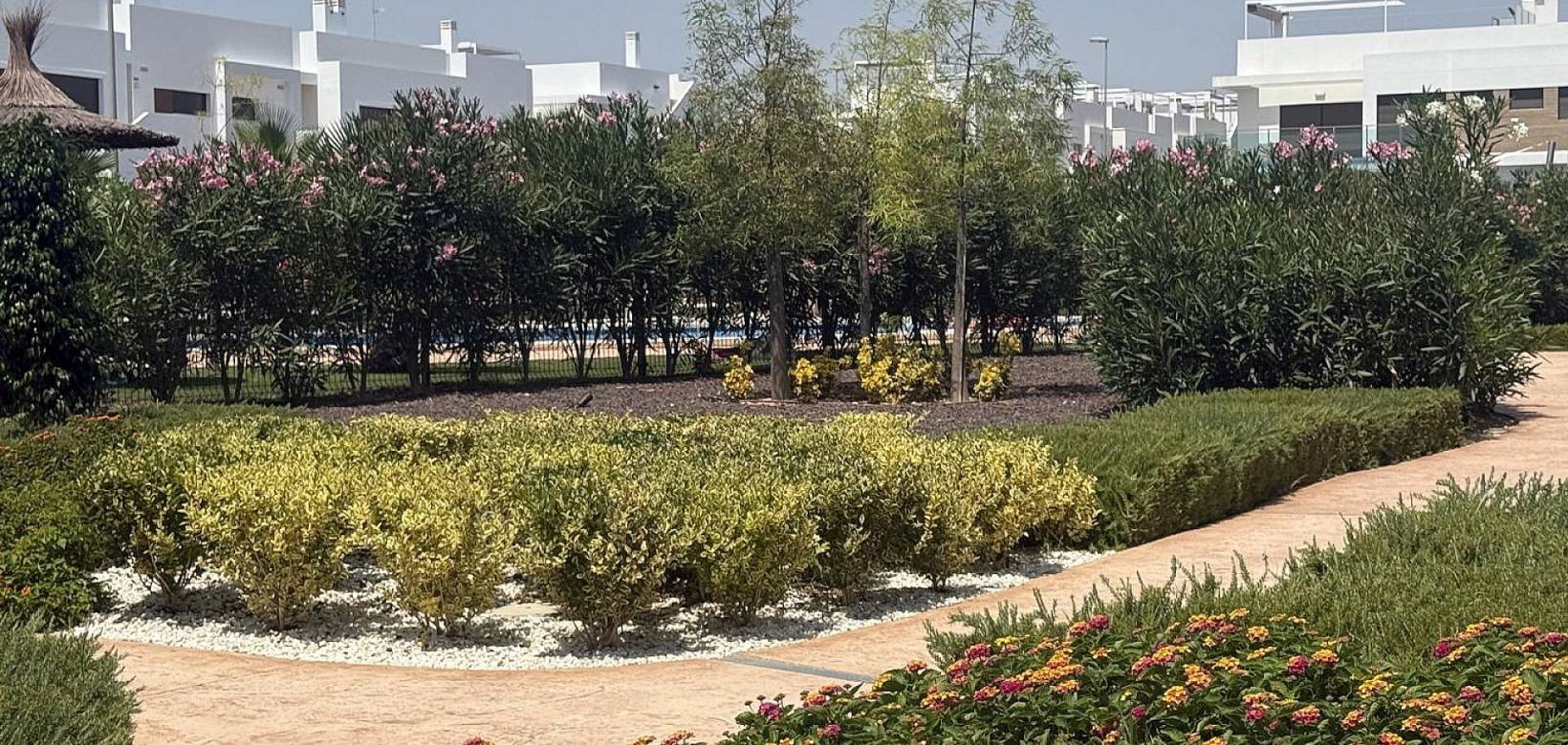 Resale - Apartment - Los Montesinos