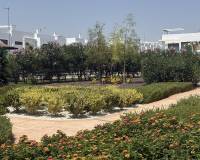 Resale - Apartment - Los Montesinos