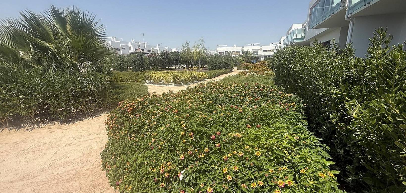 Resale - Apartment - Los Montesinos