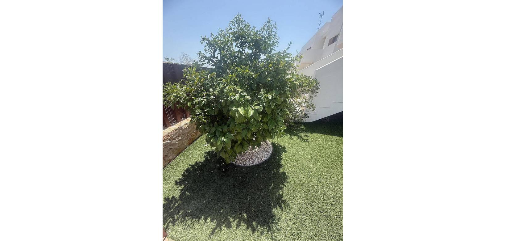 Resale - Apartment - Los Montesinos