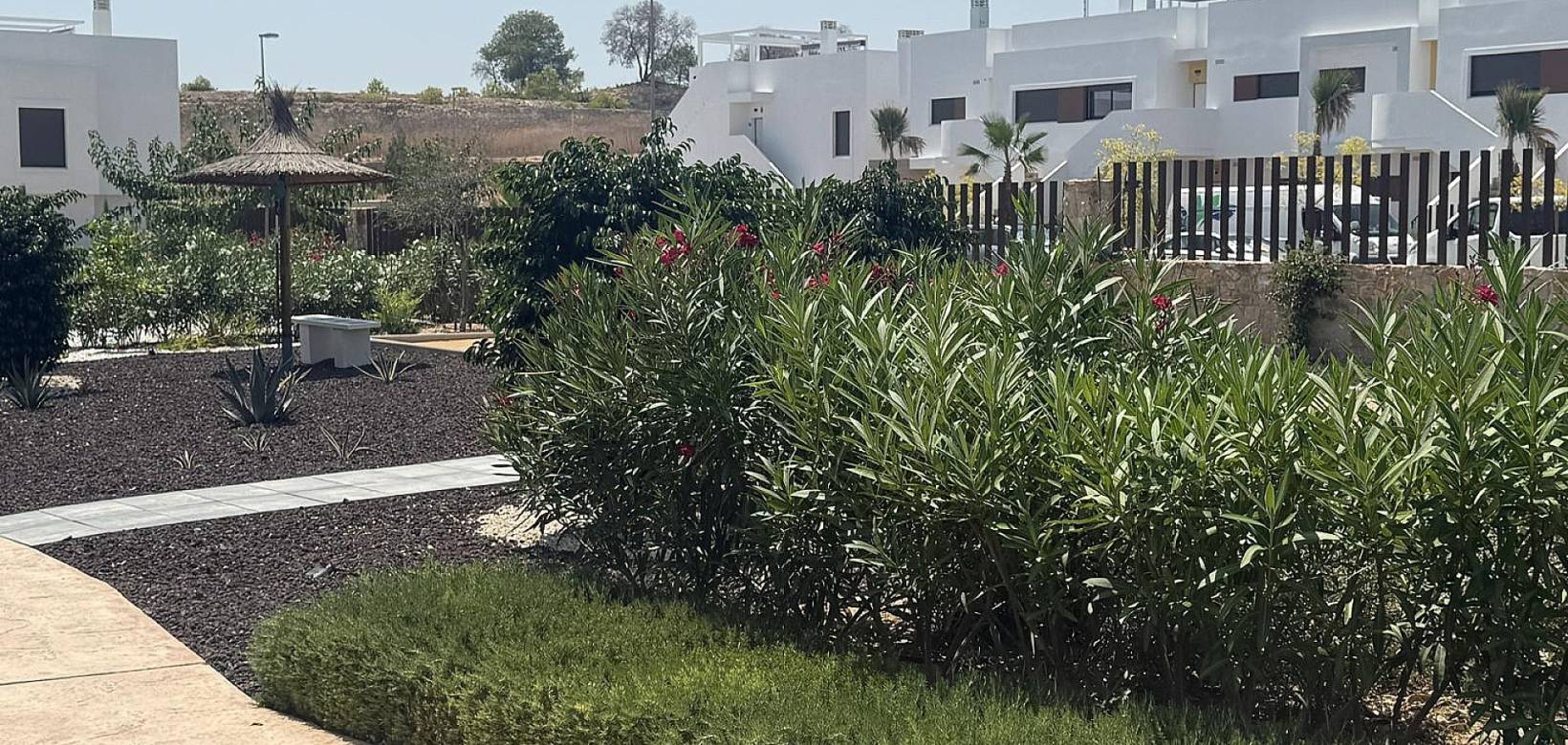 Resale - Apartment - Los Montesinos