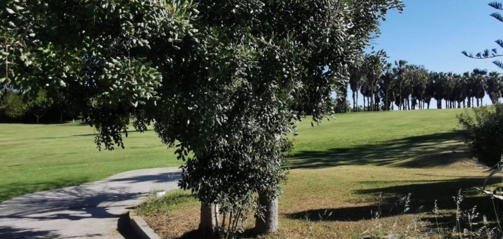Resale - Apartment - Villamartin - Campoamor golf resort
