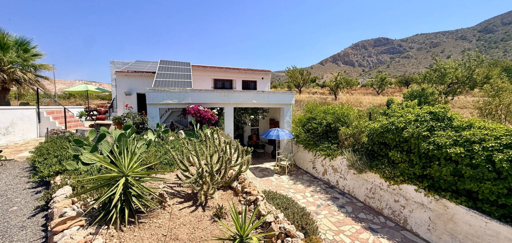 Resale - Cave home - Algueña