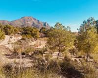 Resale - Cave home - Barinas