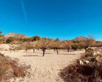 Resale - Cave home - Barinas