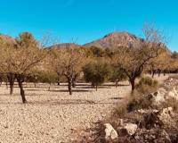 Resale - Cave home - Barinas