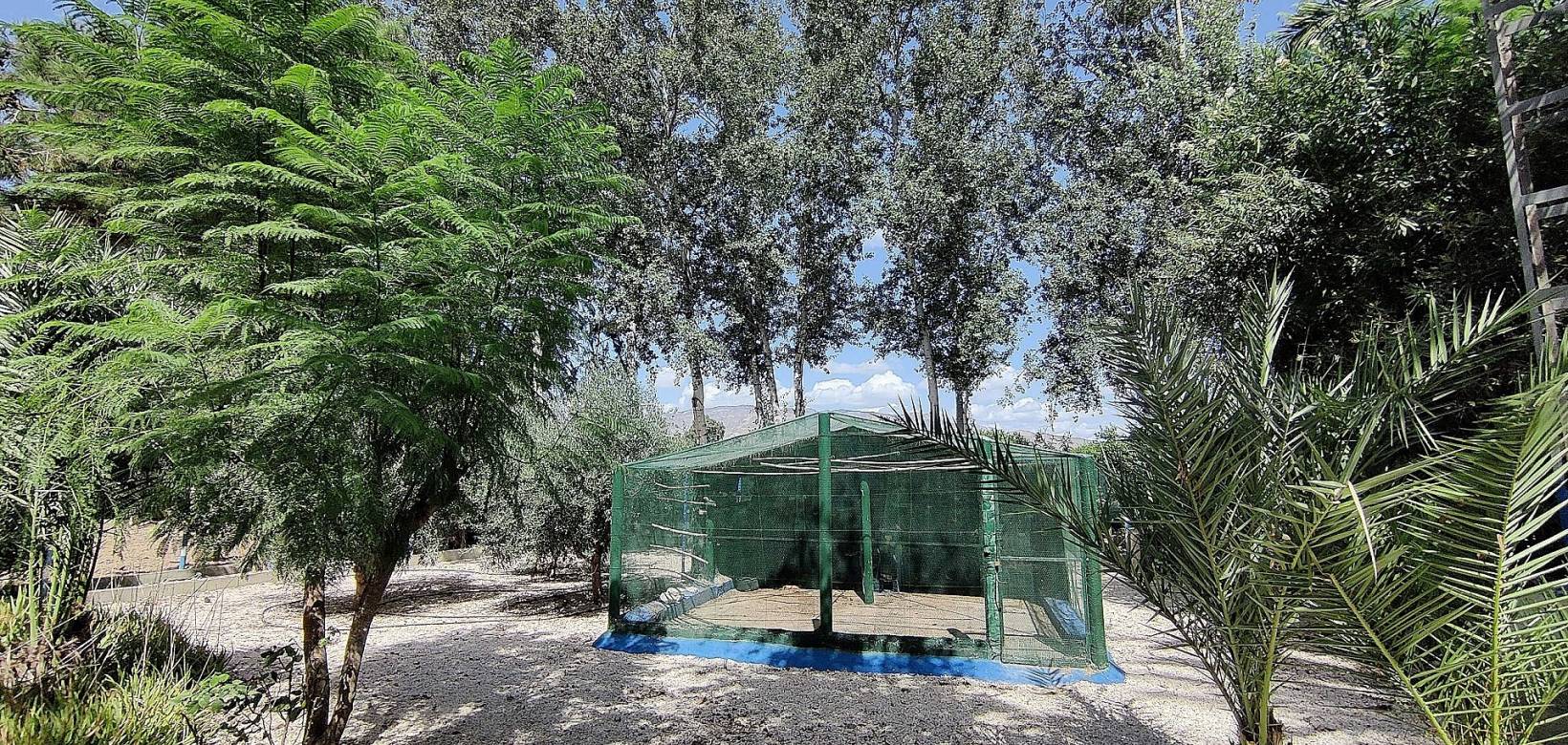 Resale - Country home - Crevillente