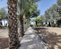 Resale - Country home - Crevillente