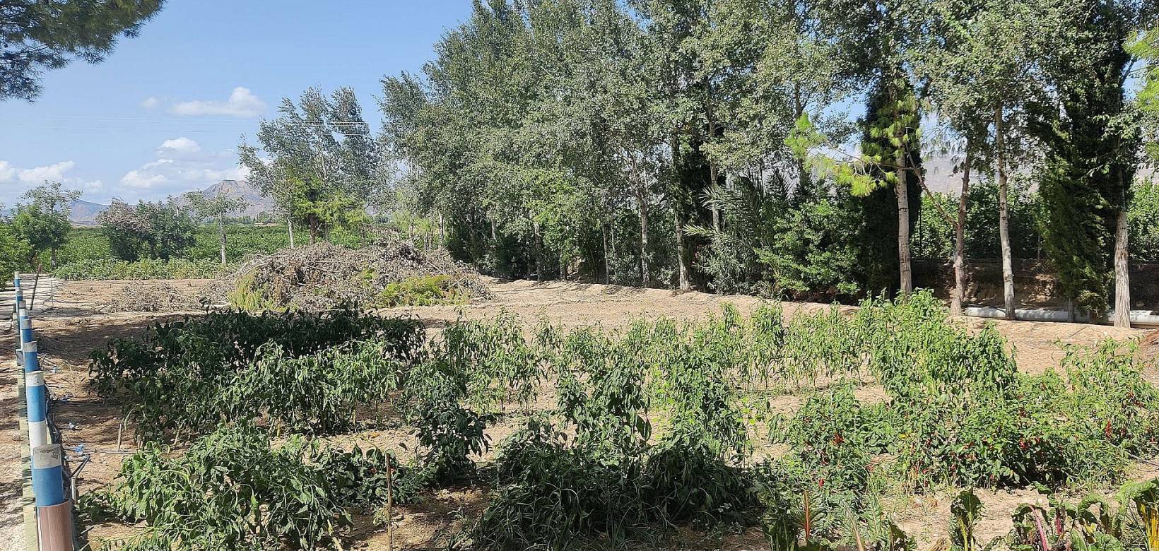 Resale - Country home - Crevillente