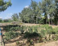 Resale - Country home - Crevillente