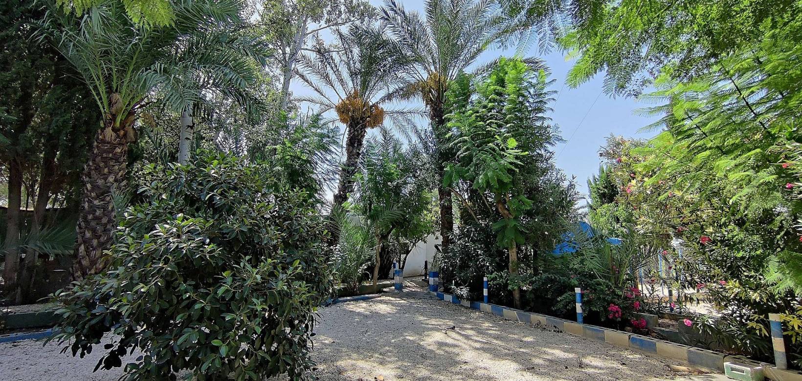 Resale - Country home - Crevillente