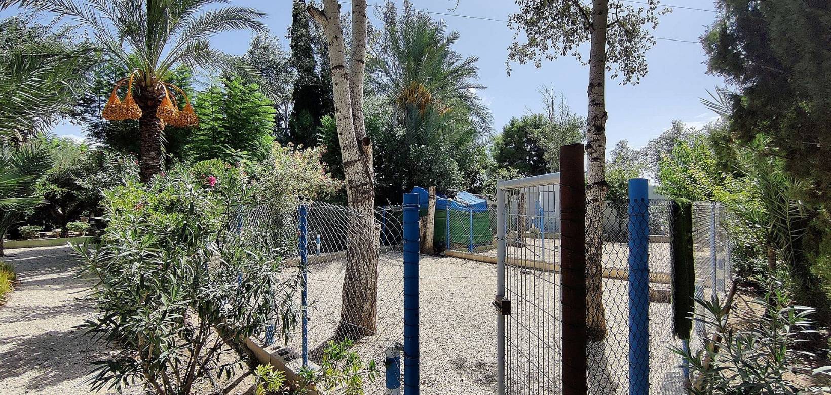 Resale - Country home - Crevillente