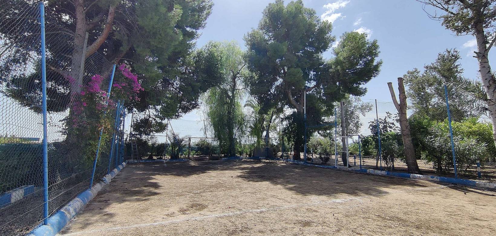 Resale - Country home - Crevillente