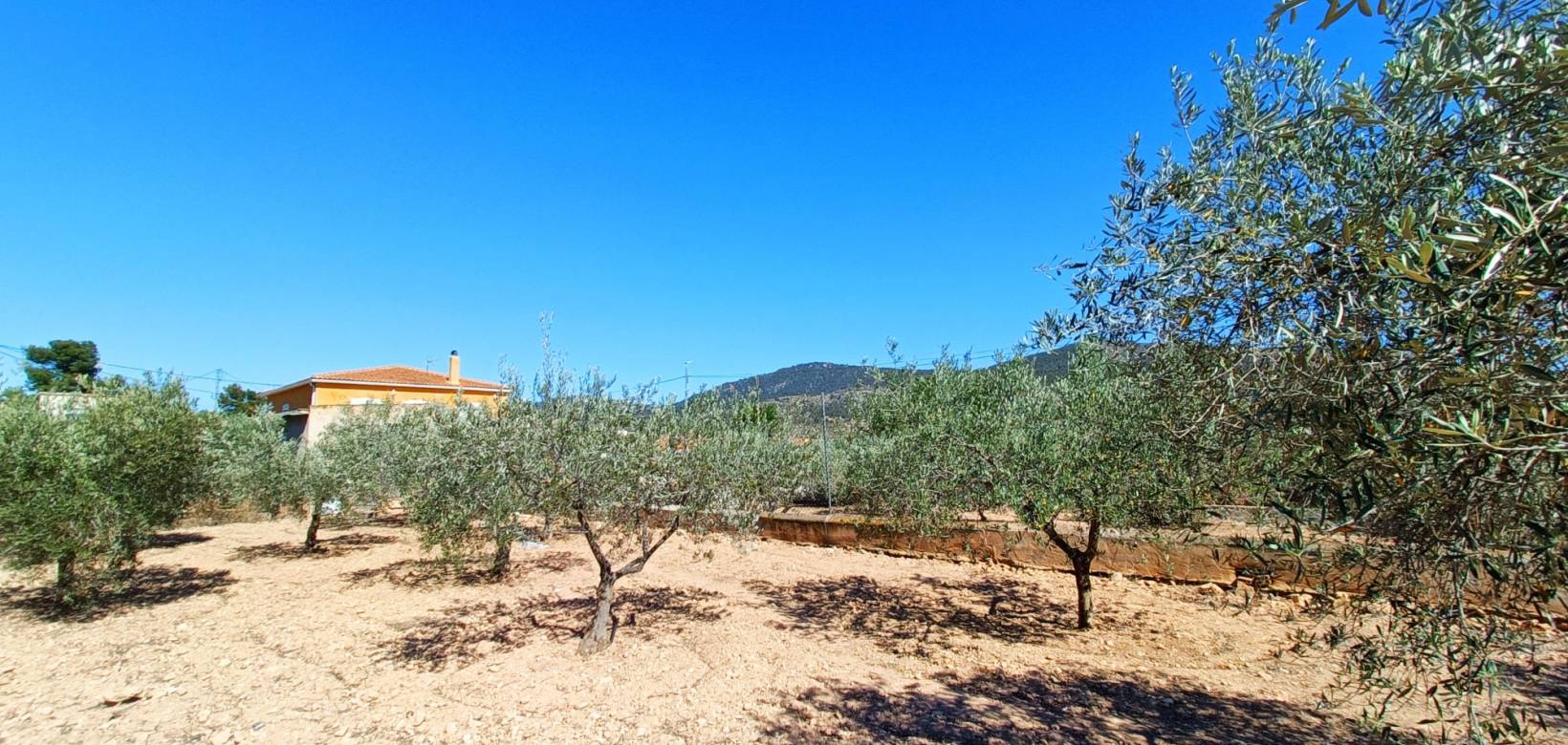 Resale - Country home - Hondón de los Frailes